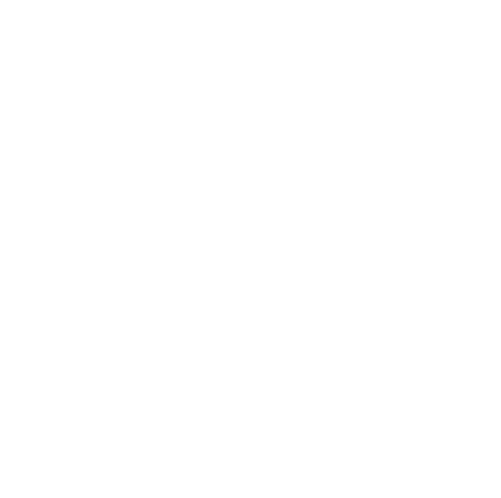 Raiz BJJ